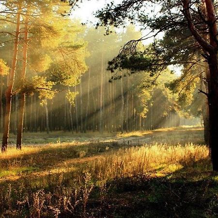 Pension Deimel Халленберг Экстерьер фото